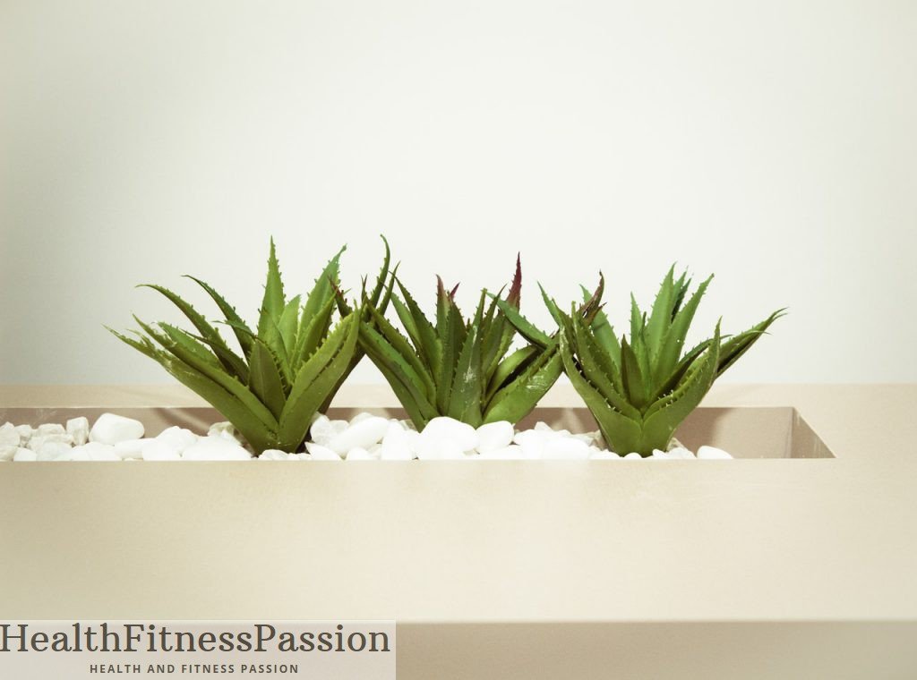 Ultimate Guide Aloe Vera Health Benefits, Side Effects, Uses and Recipes
